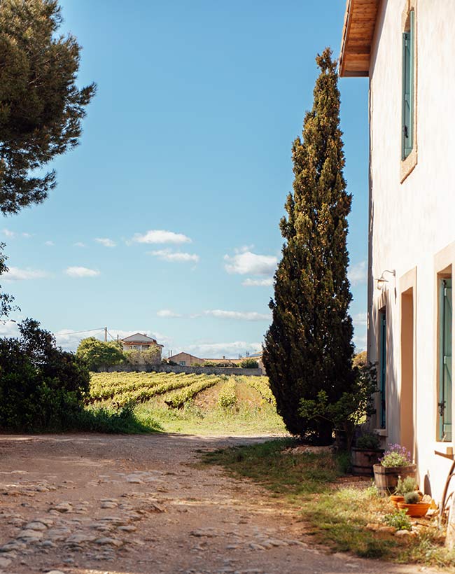 maison-stony-location-vacances-herault-gite-allée