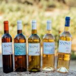 Vins bio et œnotourisme au cœur des vignes de Frontignan