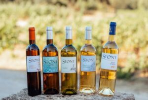 les vins bio du Domaine du Chateau de Stony à Frontignan