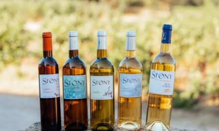 Vins bio et œnotourisme au cœur des vignes de Frontignan