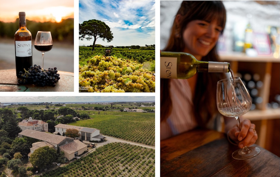 les vins du domaine de Stony les vins bios du domaine de Stony à Frontignan, vendange à la main, visite de cave et dégustation sur place