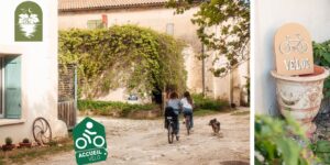 Accueil vélo à Frontignan en gites à la Maison Stony