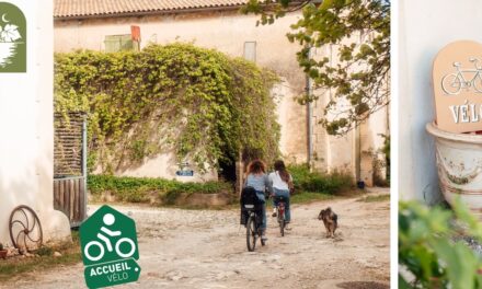 Accueil Vélo à Frontignan : séjour vélo en gîtes à la Maison Stony